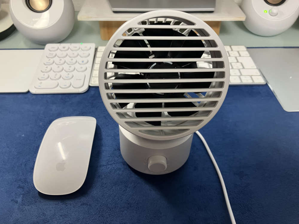 マウスと比べた大きさ