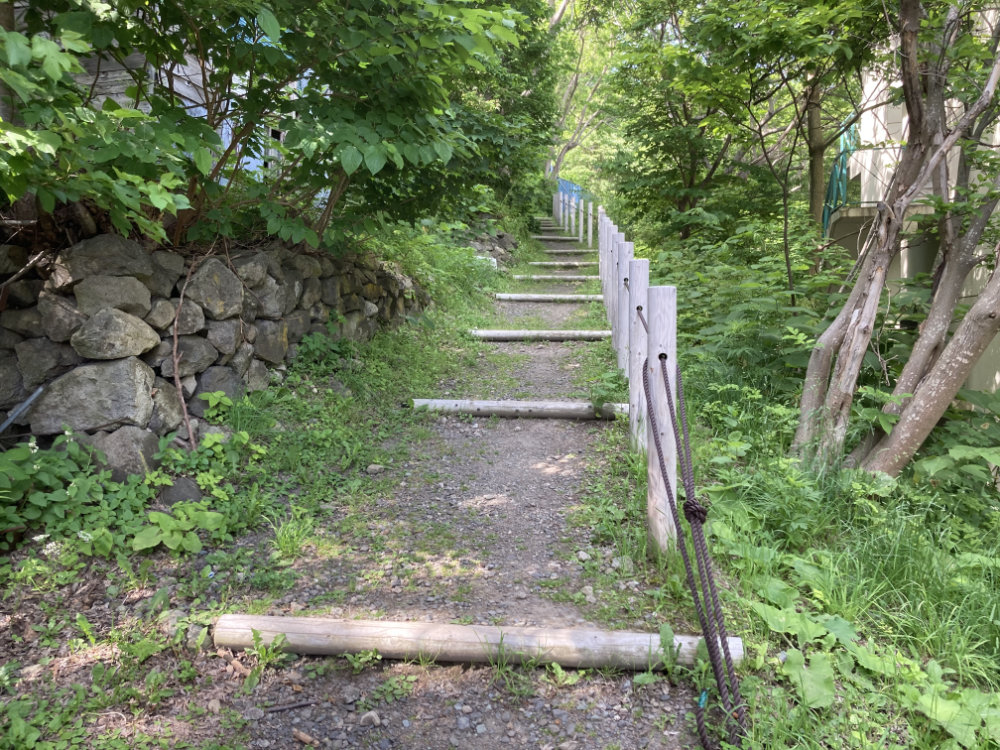 道中の道